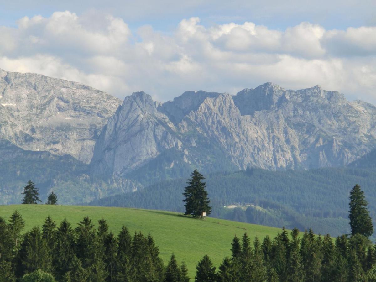 Log Cabin In Bavaria With Covered Terrace Villa Steingaden Exteriör bild